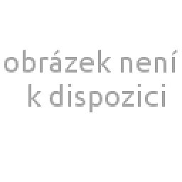 Obrázek produktu Pony jehlice kruhová 60cm – 12,00