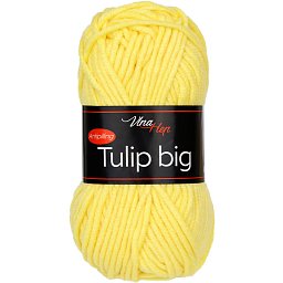 Obrázek pro produktTulip Big 41244