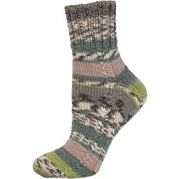 Obrázek pro produktPonožky 7305 vel 42-43